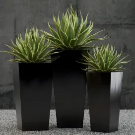 Terrano planter